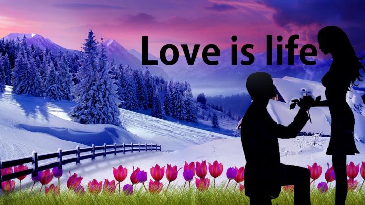 Life is Love