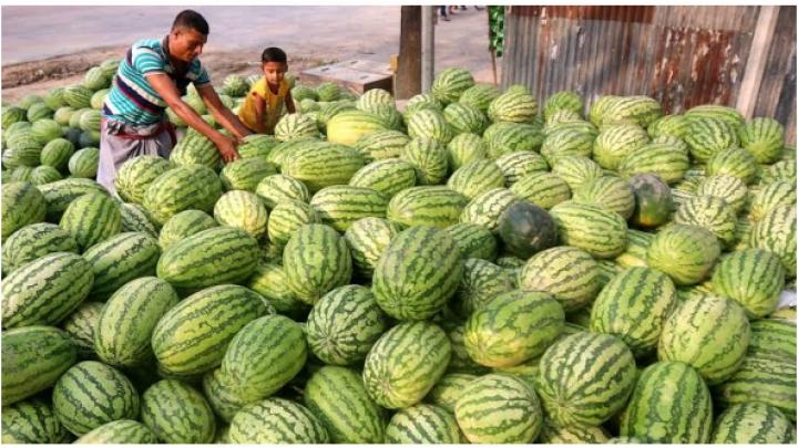 কেজি মুল্যে তরমুজ বিক্রি করায় ৬ ব্যবসায়ীকে জরিমানা