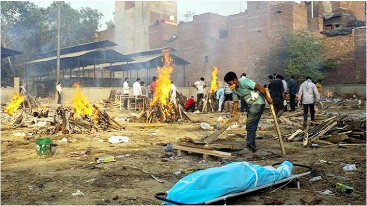 শ্মশানে দীর্ঘ হচ্ছে লাশের সংখ্যা, কুকুর মরদেহ ছিঁড়ে খাচ্ছে