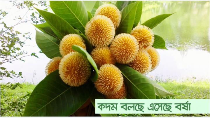 আজ বর্ষার প্রথম দিন